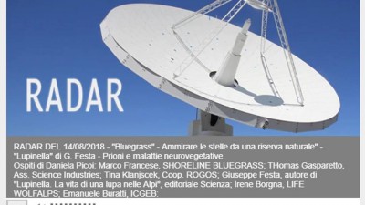 Bluegrass on Radio RAI program Radar