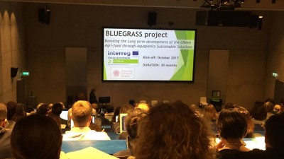 Bluegrass at the Aquaponics HUB cost meeting in Greenwich, April 2018