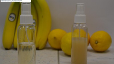 Biopolymer solution for antimicrobial fruit protection